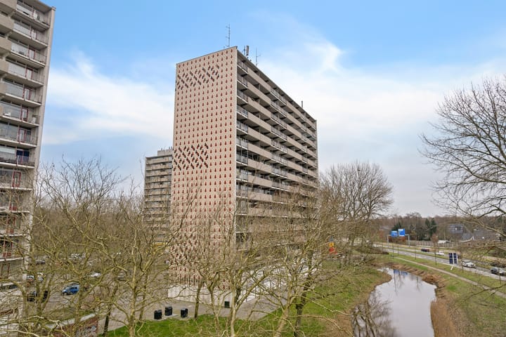 Photo 30 of Tjaarda 220