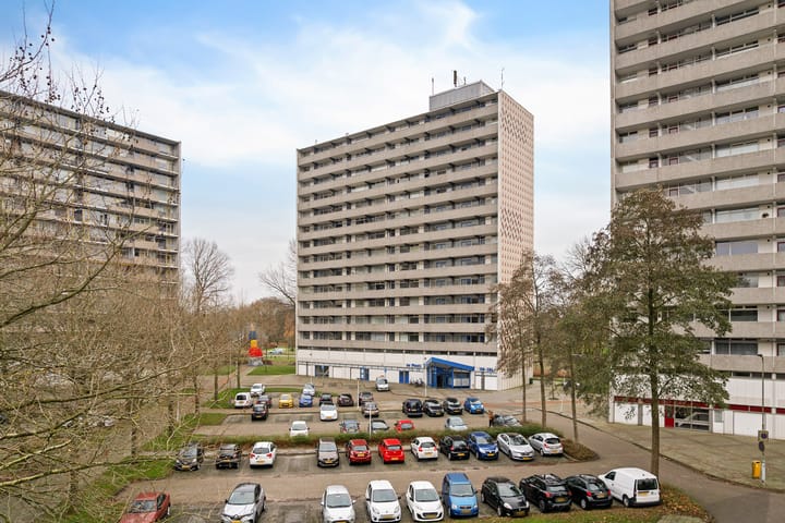 Photo 31 of Tjaarda 220