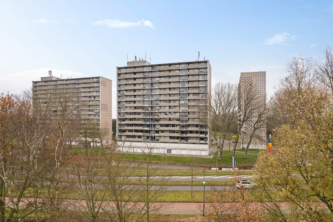 Foto 1 van Tjaarda 220