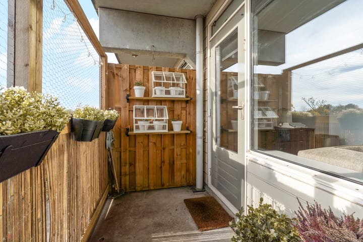 Photo 13 of Appelvink 34