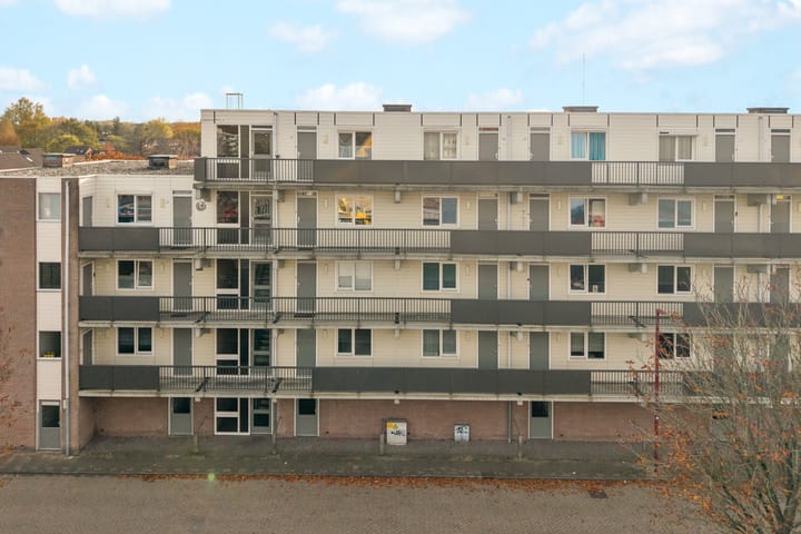 Photo 23 of Appelvink 34