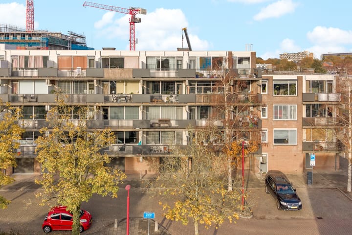 Photo 20 of Appelvink 34