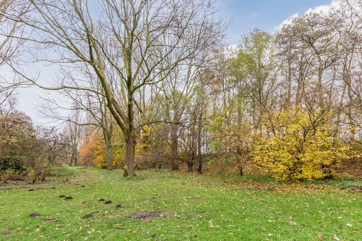 Photo 18 of Fideliolaan 190