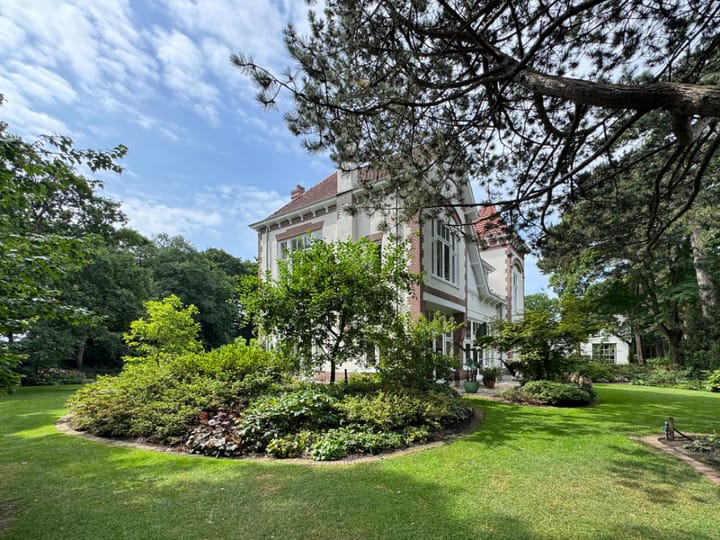 Foto 59 van Schulpweg 14