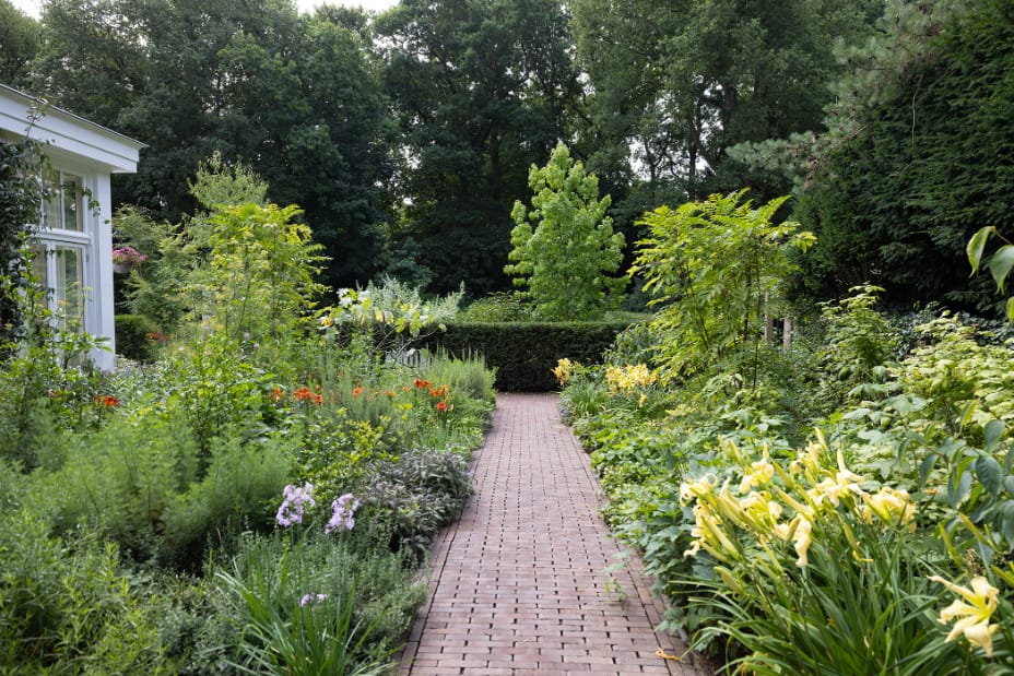 Foto 60 van Schulpweg 14