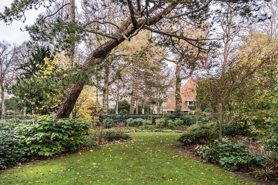 Foto 62 van Schulpweg 14