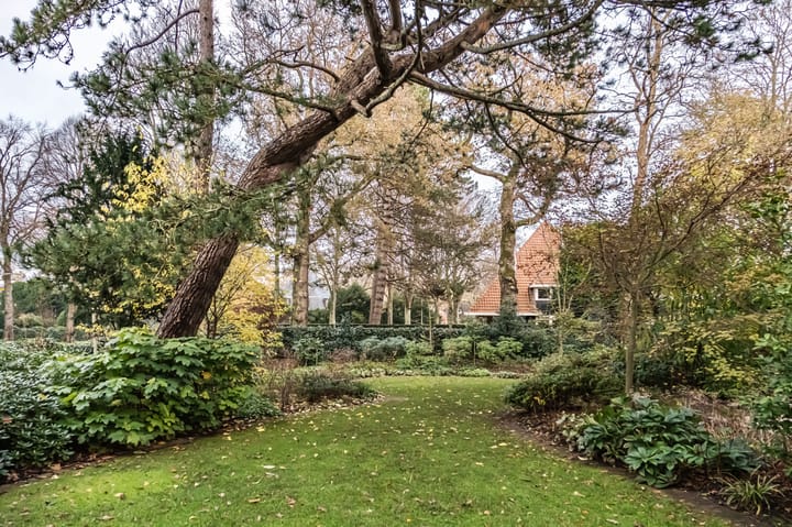 Foto 62 van Schulpweg 14