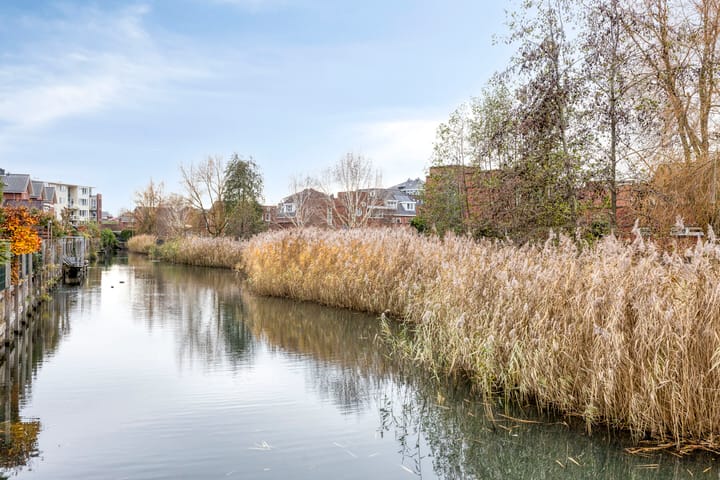 Foto 45 van Daniël Stoopendaallaan 4