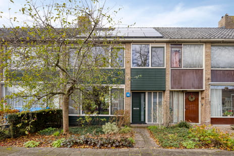 Jacob Catslaan thumbnail