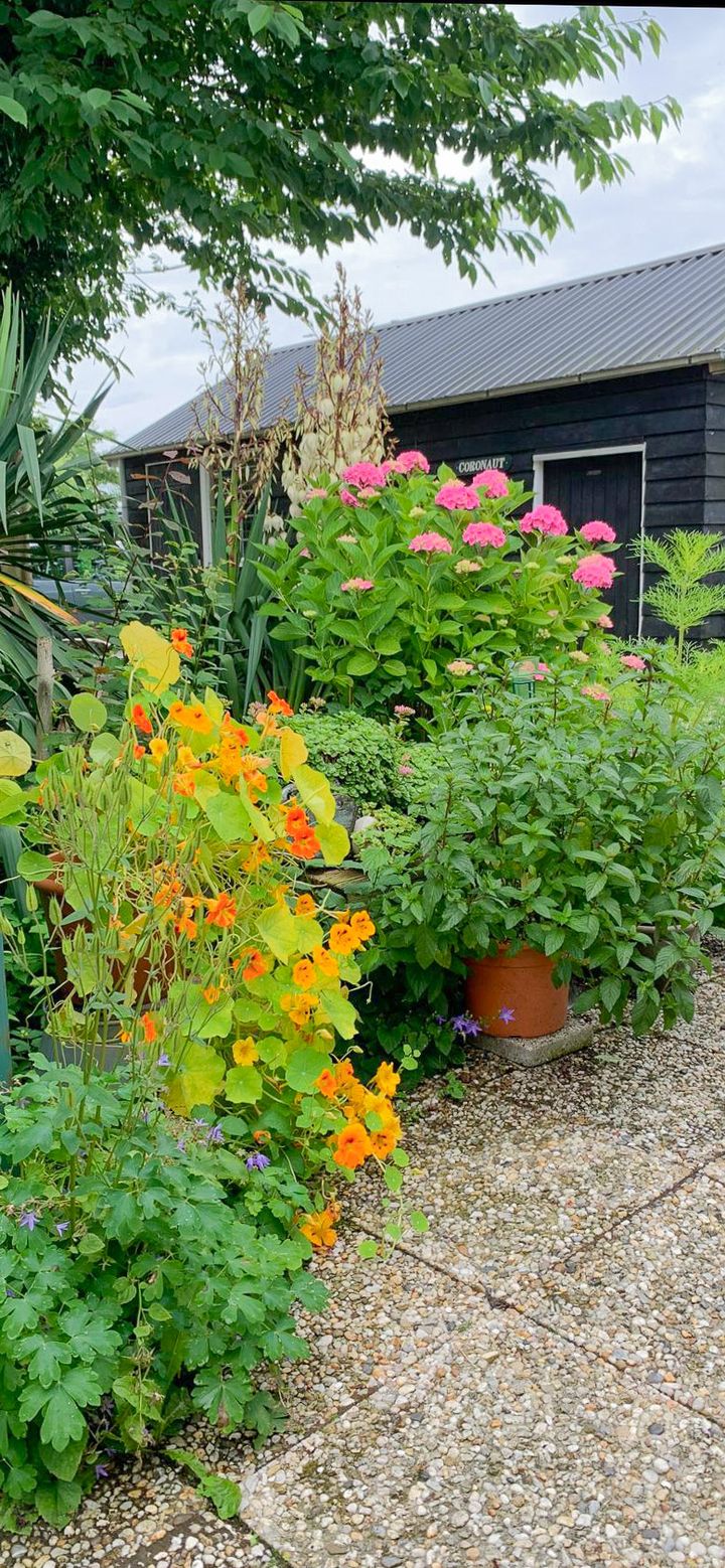 Foto 33 van Akker 12