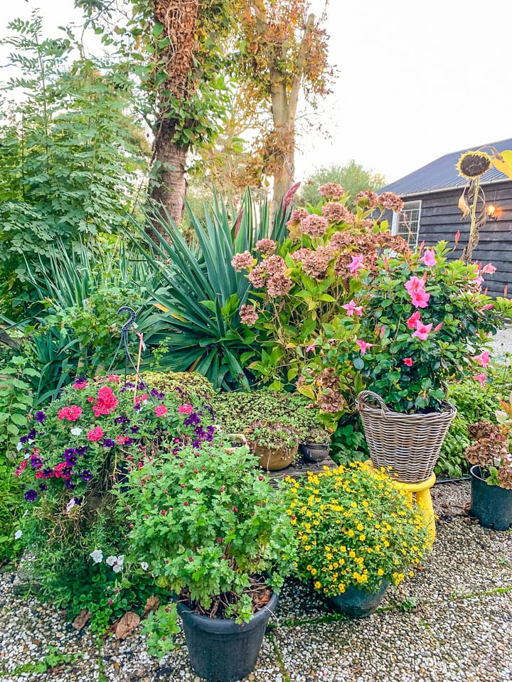 Foto 34 van Akker 12