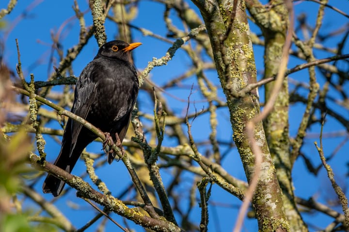 Foto 35 van Akker 12