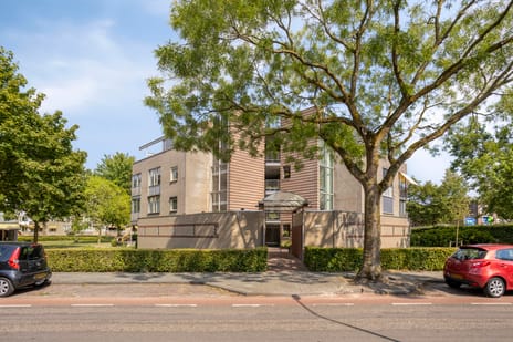 van Hornstraat thumbnail