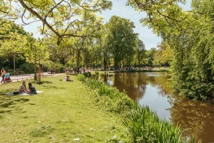 Foto 46 van Van Baerlestraat 17-3