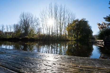 Ter Braaklaan 44 secondary image