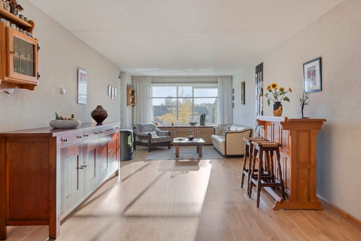 Foto 2 van Goudplevier 69