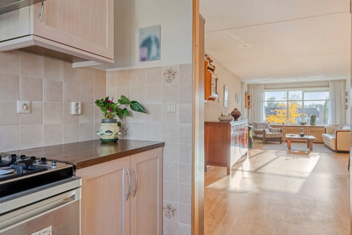 Foto 3 van Goudplevier 69