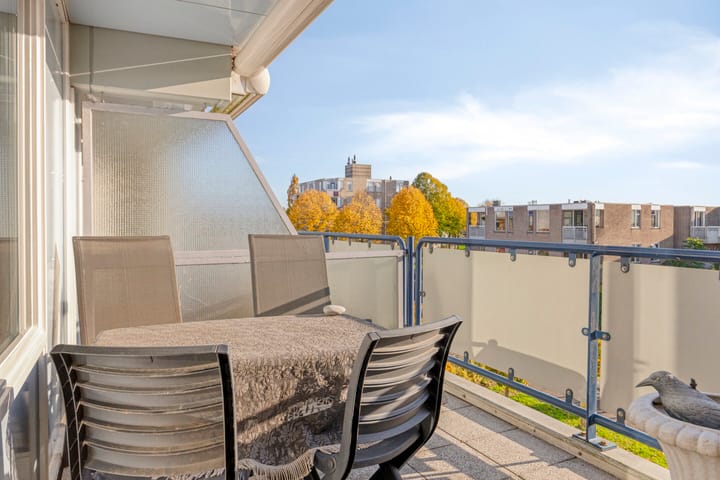 Foto 4 van Goudplevier 69