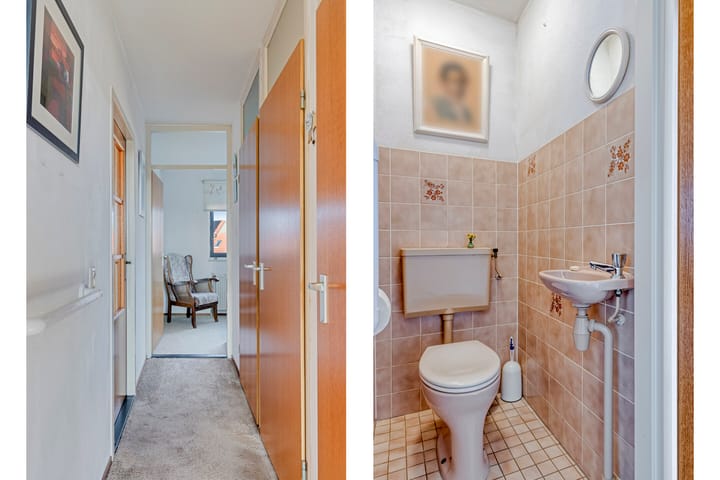 Foto 6 van Goudplevier 69