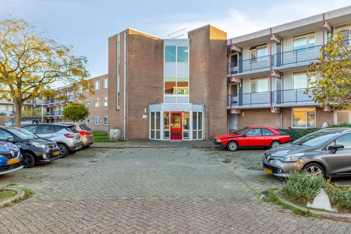 Foto 7 van Goudplevier 69