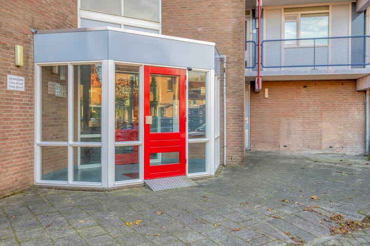 Foto 8 van Goudplevier 69