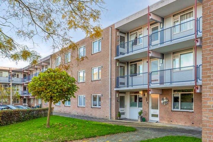 Foto 10 van Goudplevier 69