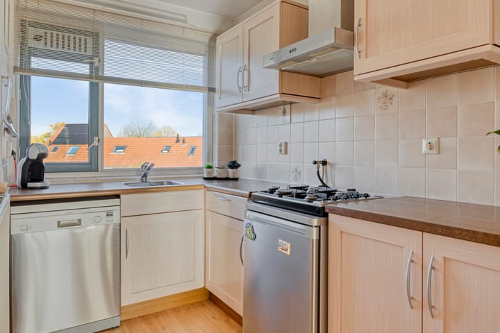 Foto 19 van Goudplevier 69