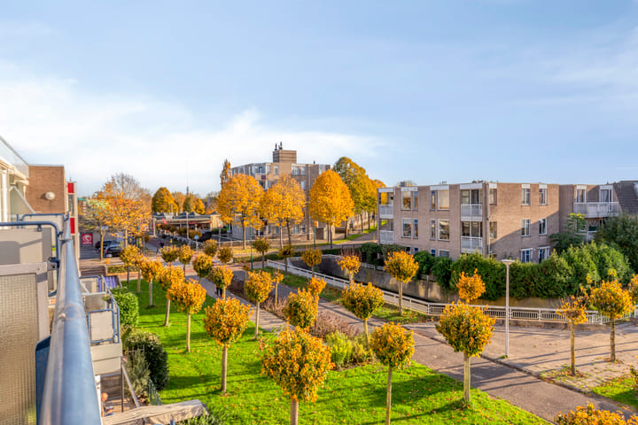 Foto 20 van Goudplevier 69