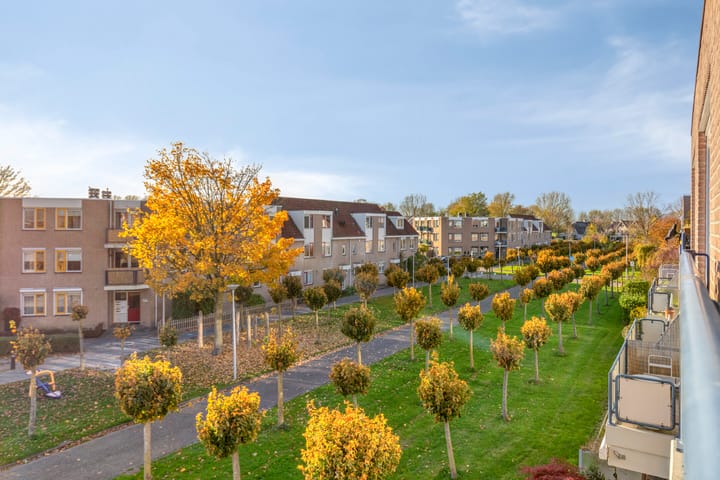 Foto 21 van Goudplevier 69