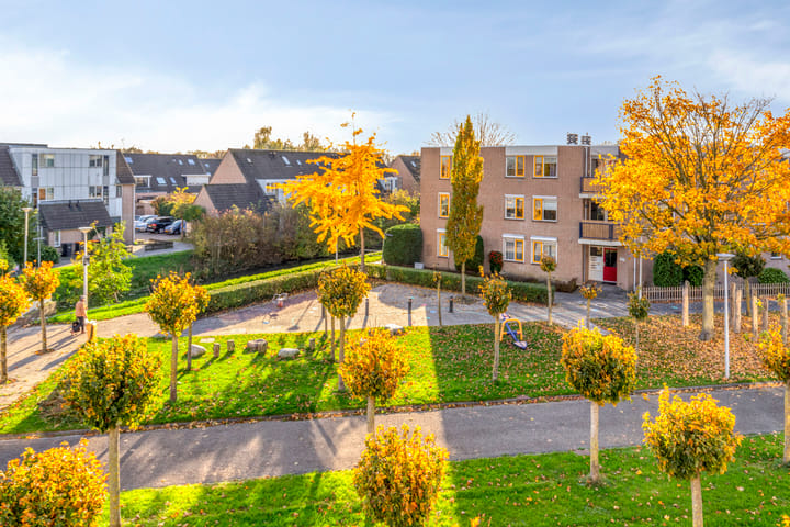 Foto 22 van Goudplevier 69