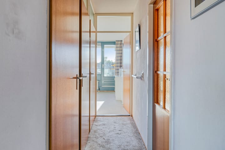 Foto 23 van Goudplevier 69