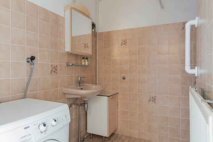 Foto 28 van Goudplevier 69