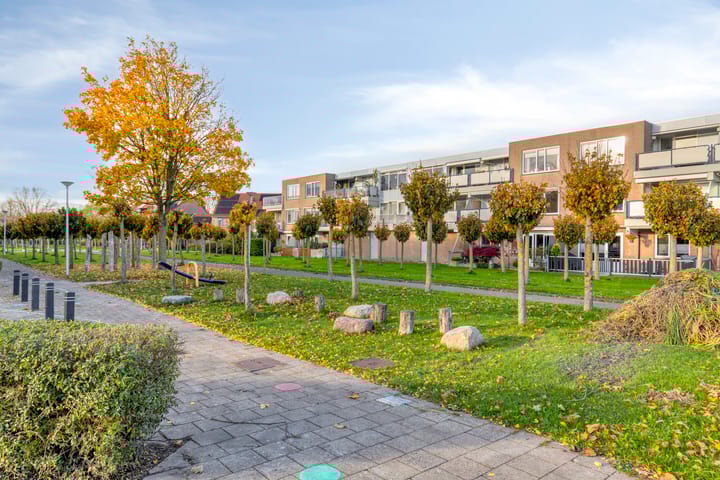 Foto 29 van Goudplevier 69