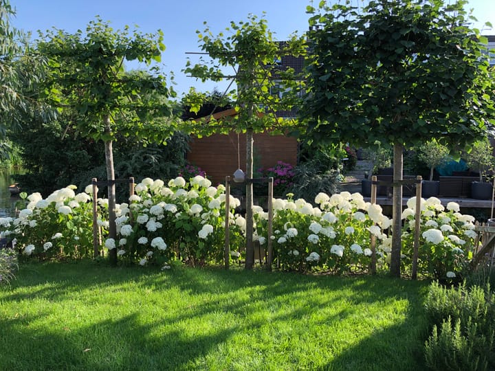 Photo 46 of Ter Braaklaan 44