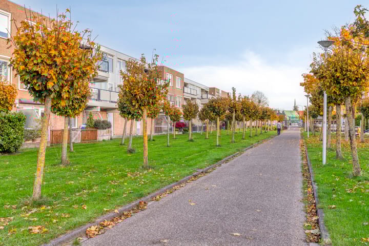 Foto 31 van Goudplevier 69