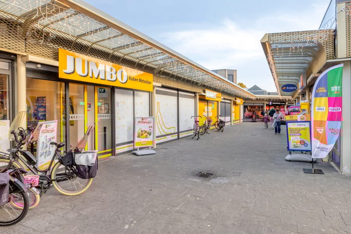 Foto 32 van Goudplevier 69