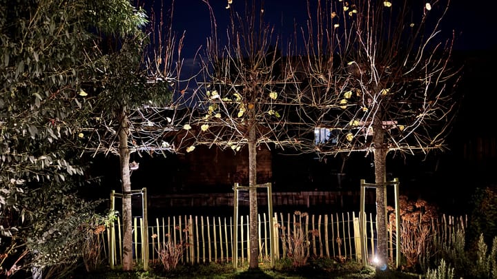 Photo 52 of Ter Braaklaan 44