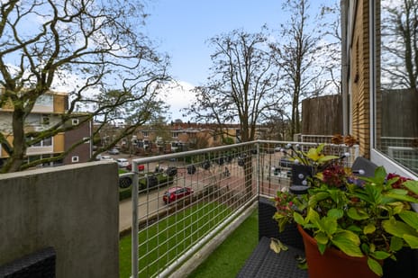 Karel Doormanlaan 226 tertiary image