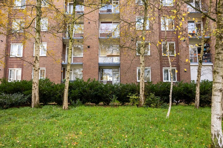 Foto 29 van Plutostraat 20