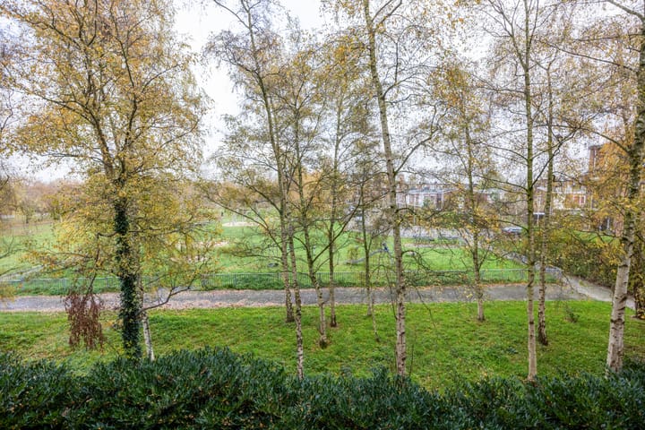 Foto 21 van Plutostraat 20