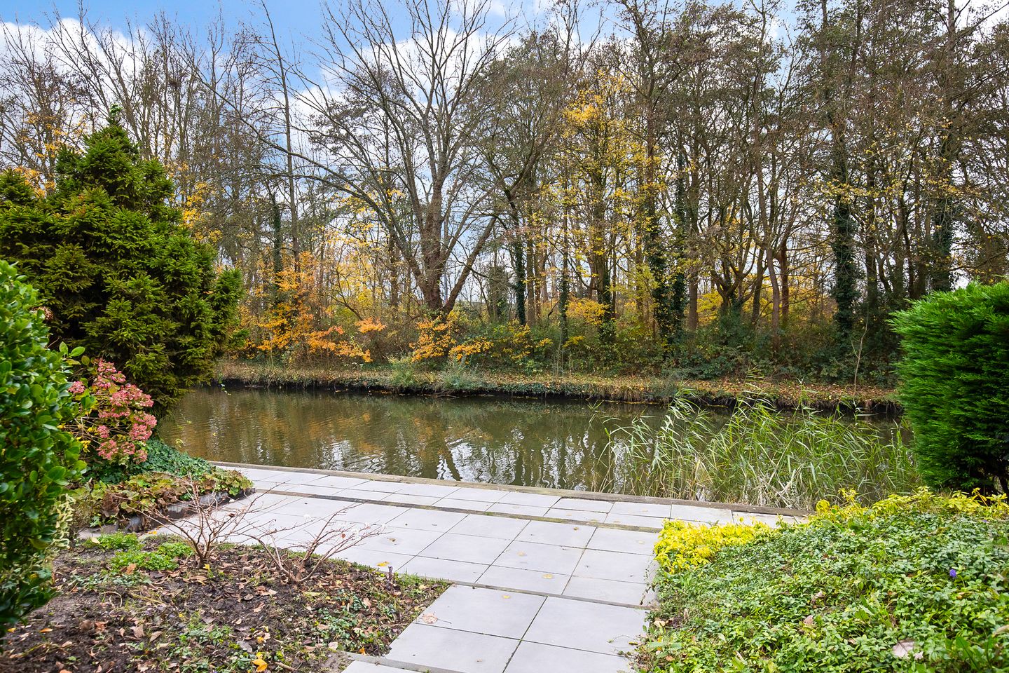 Foto 14 van Weegbreestraat 20