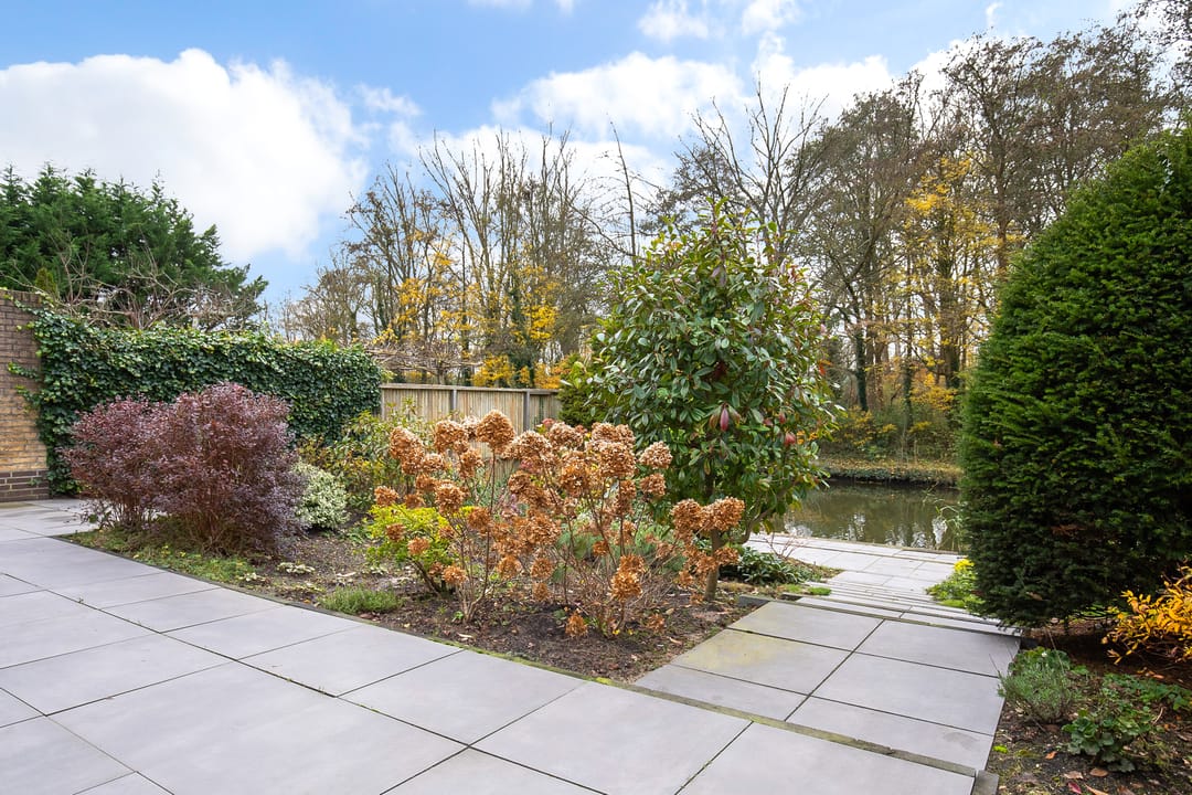 Foto 46 van Weegbreestraat 20