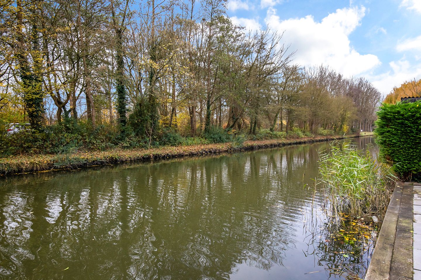 Foto 49 van Weegbreestraat 20