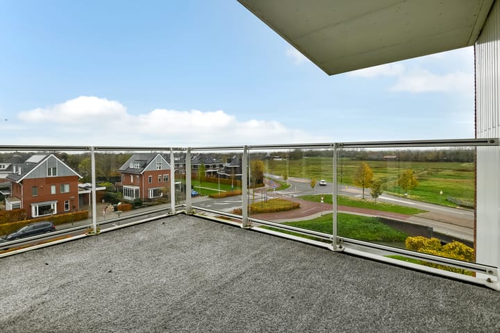 Photo 20 of Juno 167