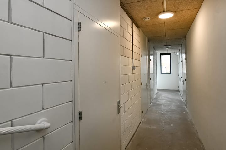 Photo 39 of Juno 167