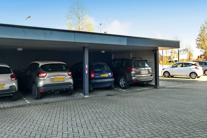 Photo 43 of Juno 167