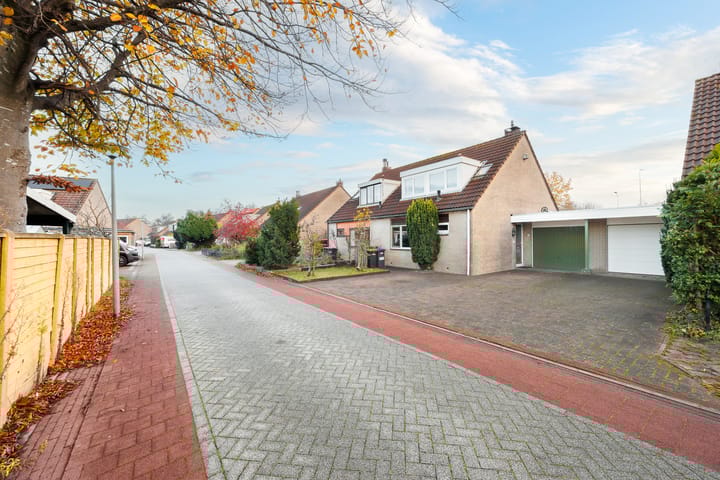 Foto 4 van Griend 40 6