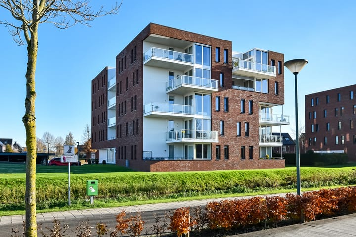 Photo 50 of Juno 167