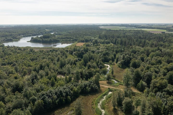 Foto 42 van Schoterweg 5-A