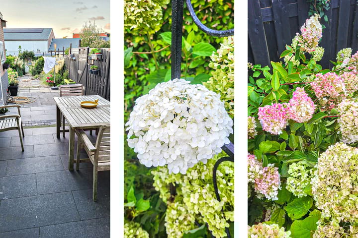 Photo 51 of Marnixplein 18